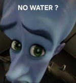 images (1).jpeg