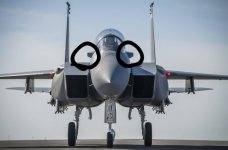 what-are-these-things-on-the-f-15exs-nose-v0-eq98btvr17lc1.jpeg