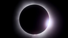 1786815302529.png 1786815302529.png