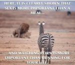 1568562770444.png