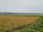 IMG_20191029_073052.jpg