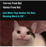 1586152845390.png
