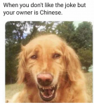 1586167566891.png