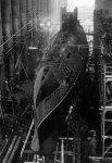 Pr617_bow.jpg Pr617_bow.jpg
