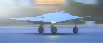 swift3.JPG