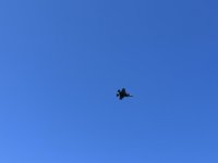 1AE2EF6E-95D8-4BE9-B51A-EDACADD93900.jpeg