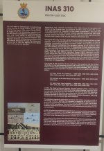 310.jpg