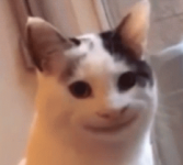 1747905157841.png