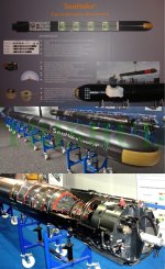 DM2A4 Sea Hake HWT-1.jpg