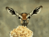 popcorn-entertaining.gif