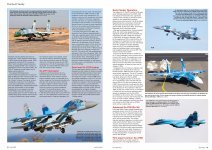 Pg2.jpg