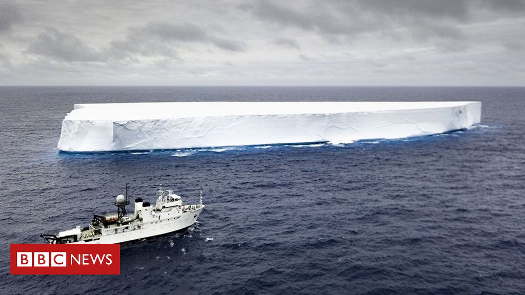 www.bbc.com