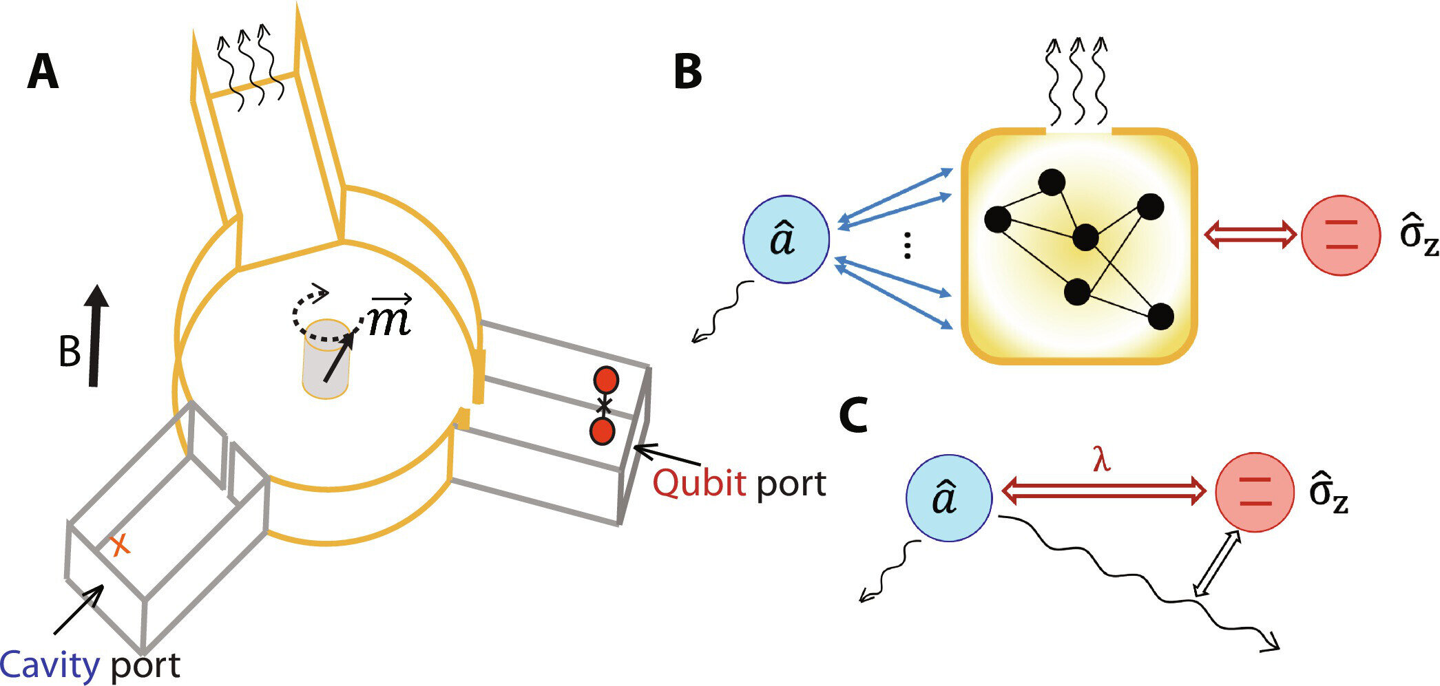 phys.org