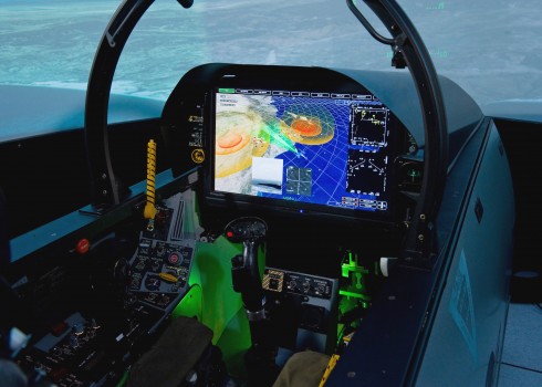 hornet-display-490x350-orig_orig.jpg
