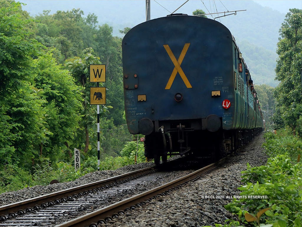 bangaloremirror.indiatimes.com
