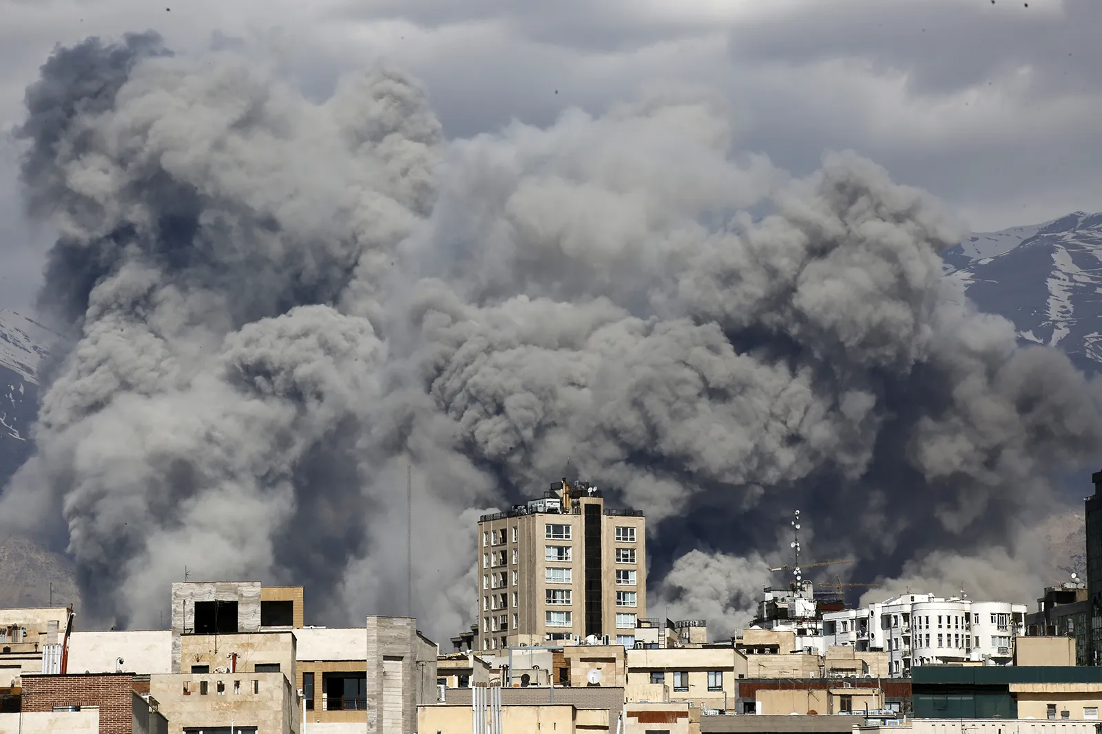 dawnmena.org