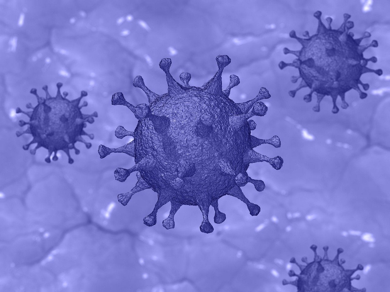 www.pharmaceutical-technology.com