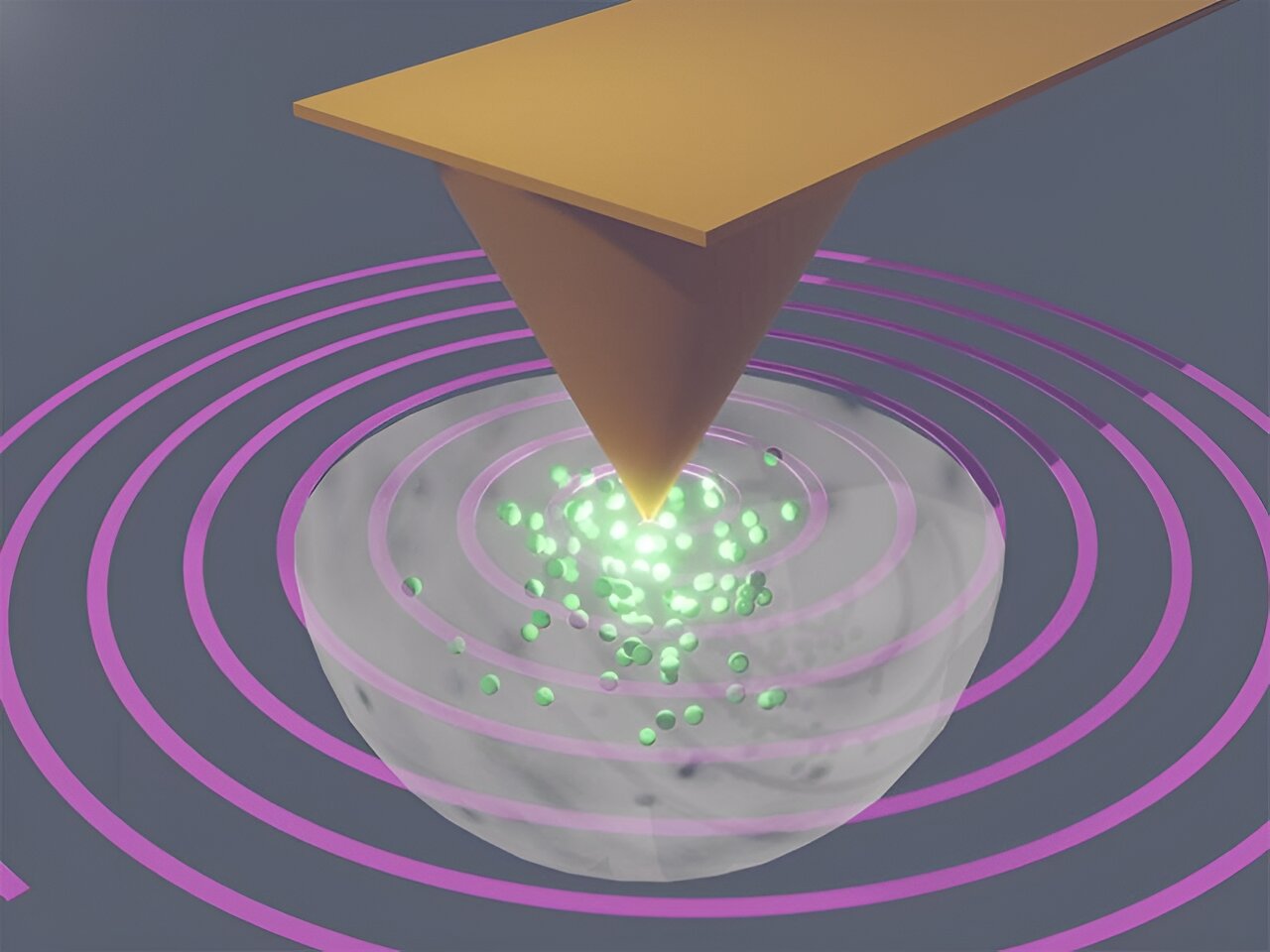 phys.org