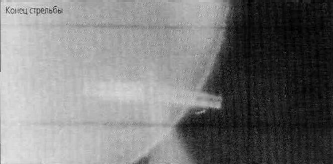 Image8.gif