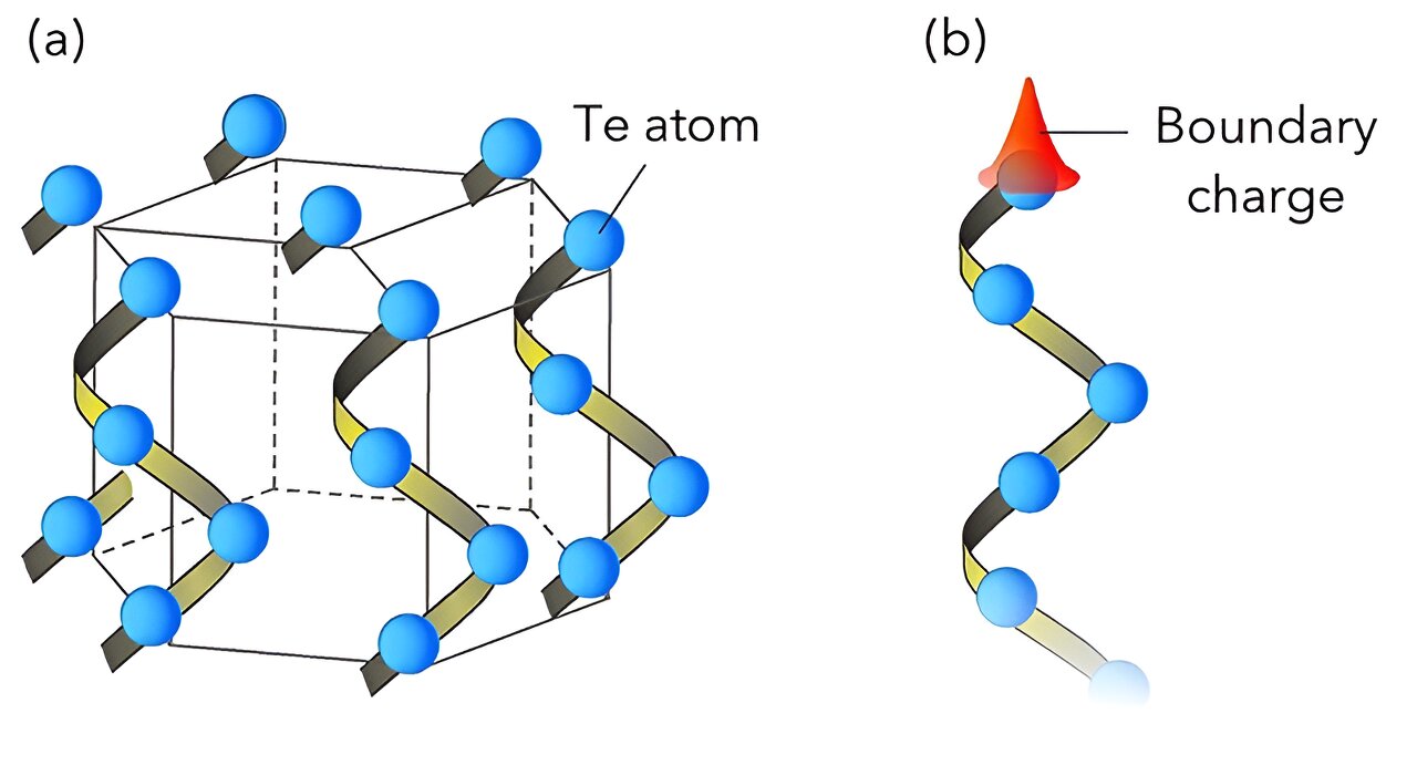 phys.org