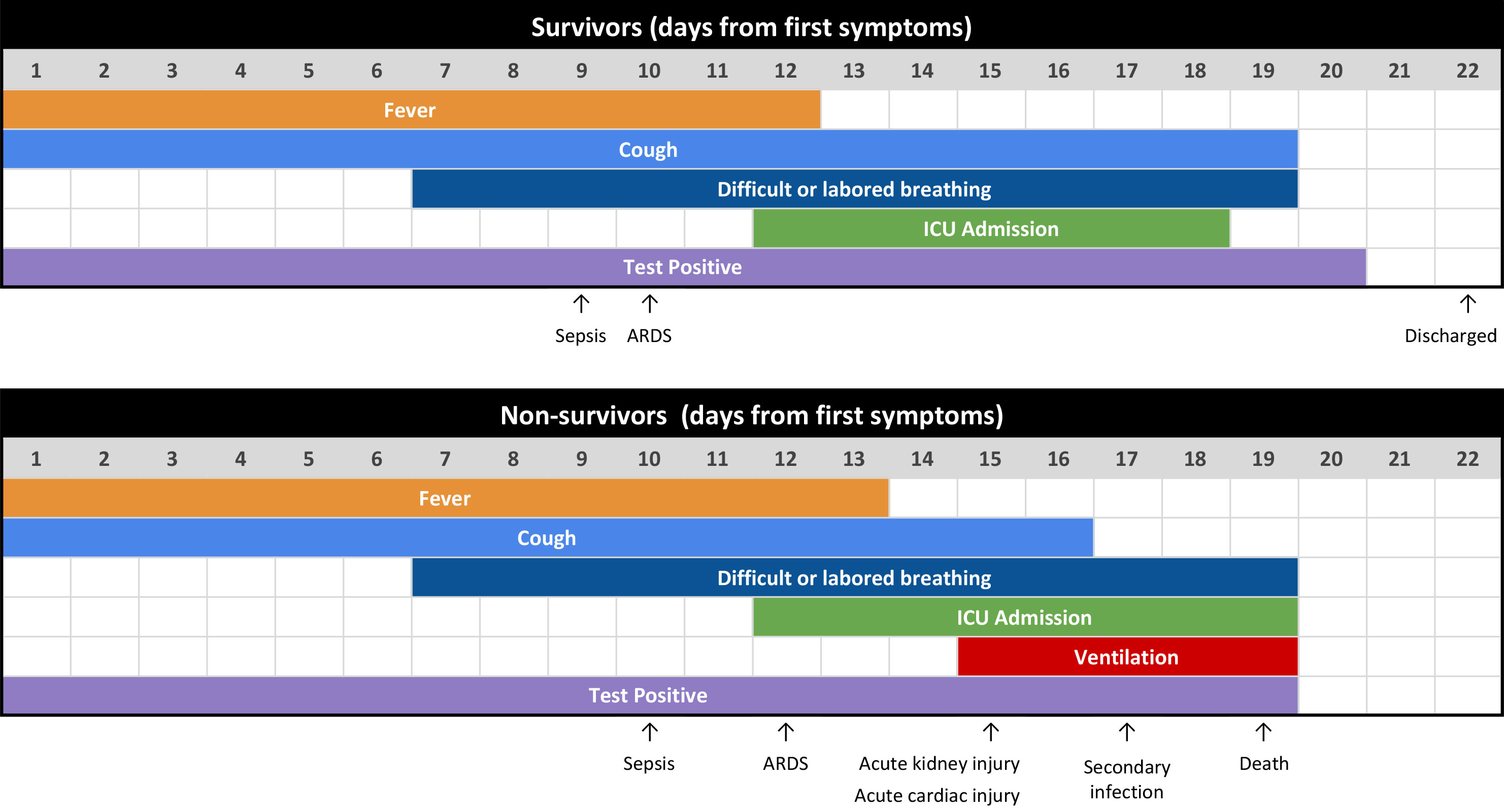 Covid-Progression-Chart-scaled.jpg