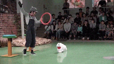 kaomaru.gif